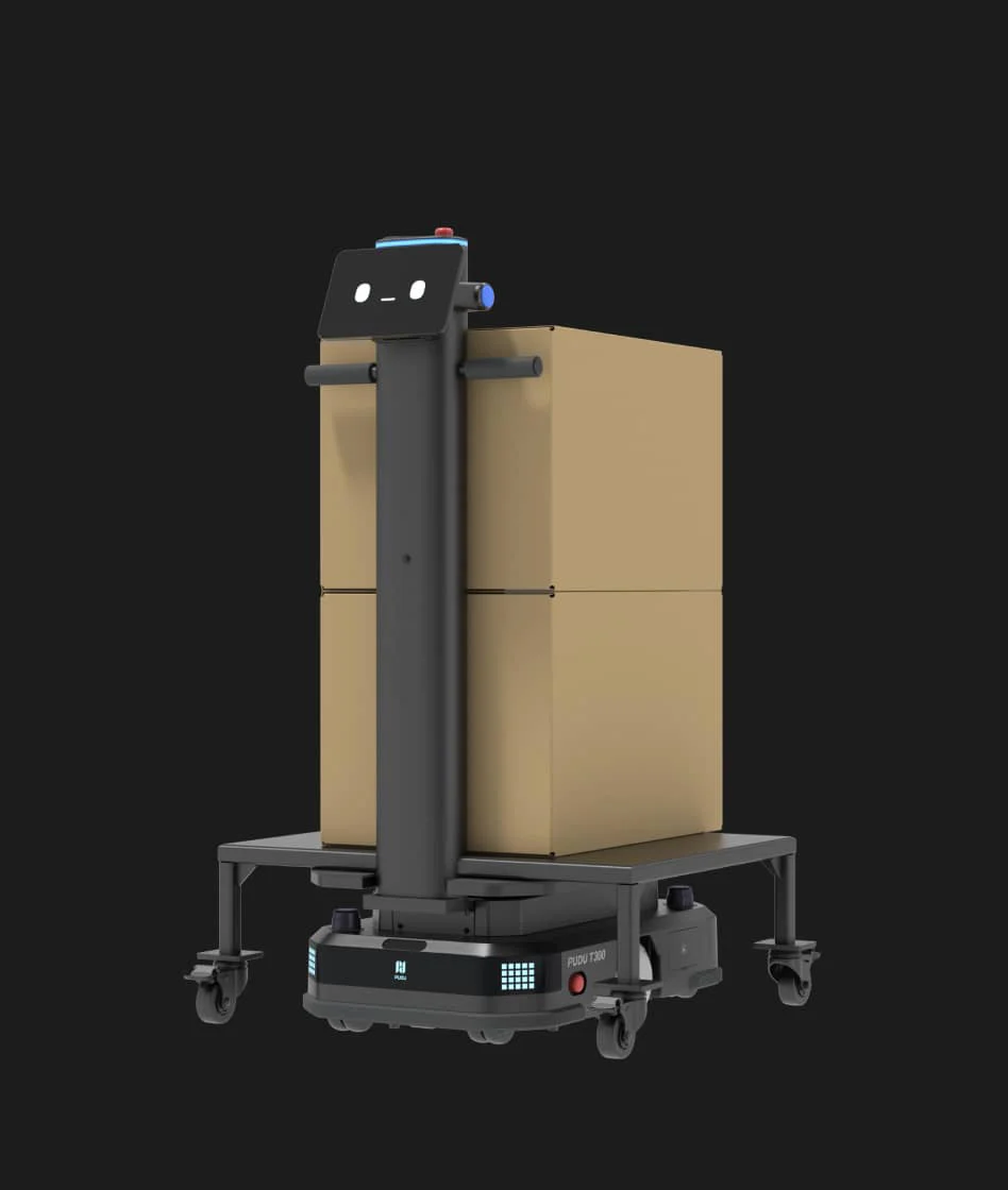 T300 Lifting
